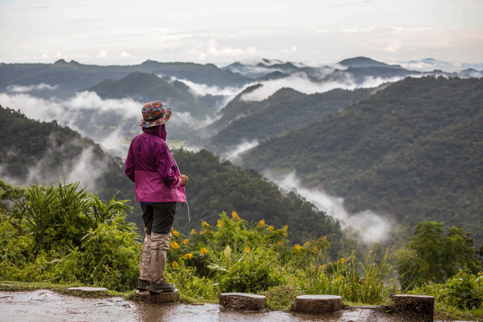 Exploring the Mist-Covered Hills: Top Places to Visit in Munnar for a Dreamy Escape