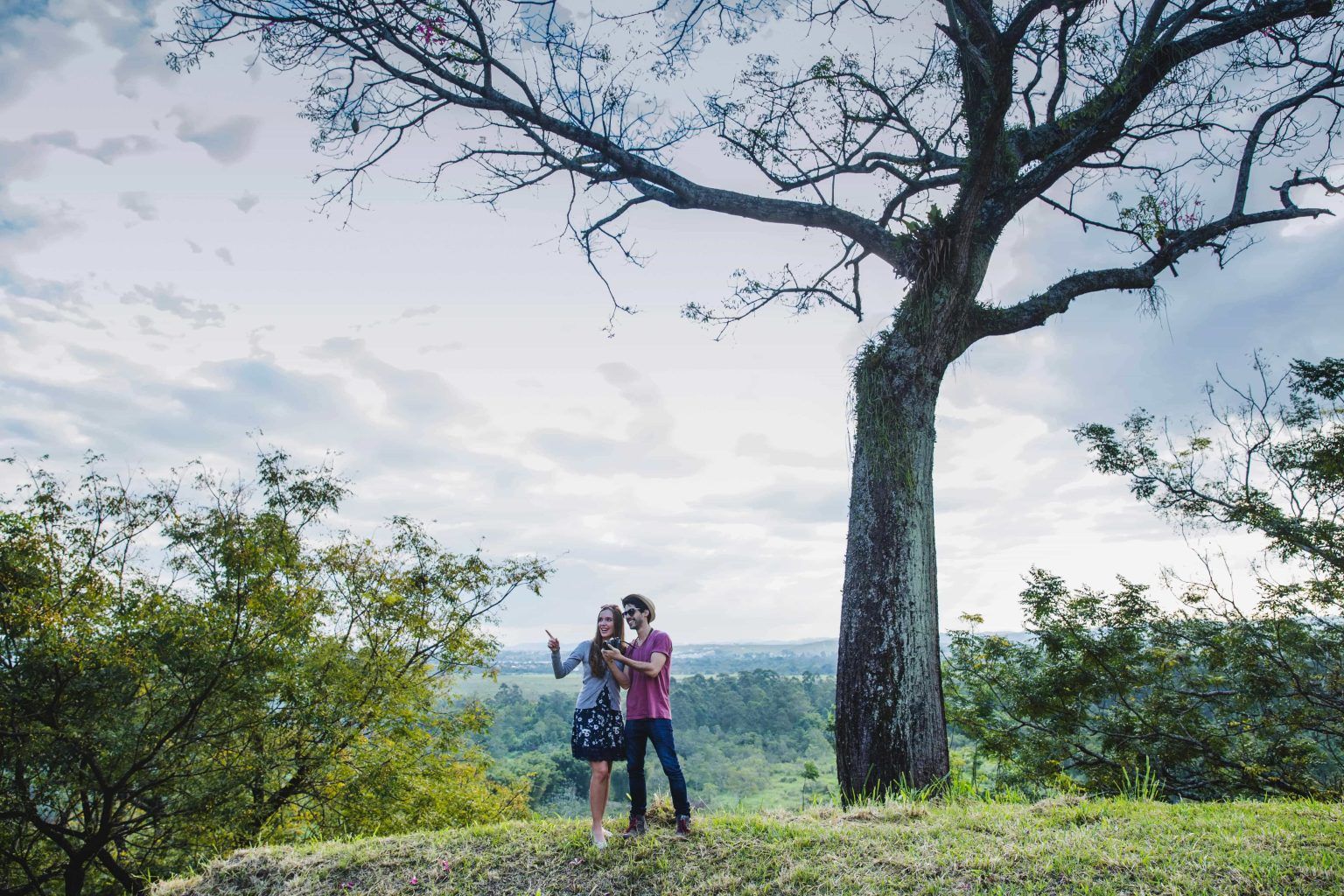 Family Tourist Spots at Munnar: Plan a Nature-Filled Trip with Flora and Fauna