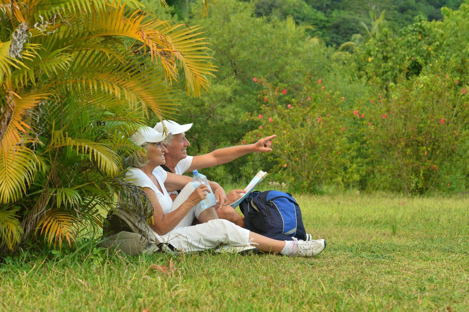 Must visit places at Munnar: A Family Guide to Flora & Fauna