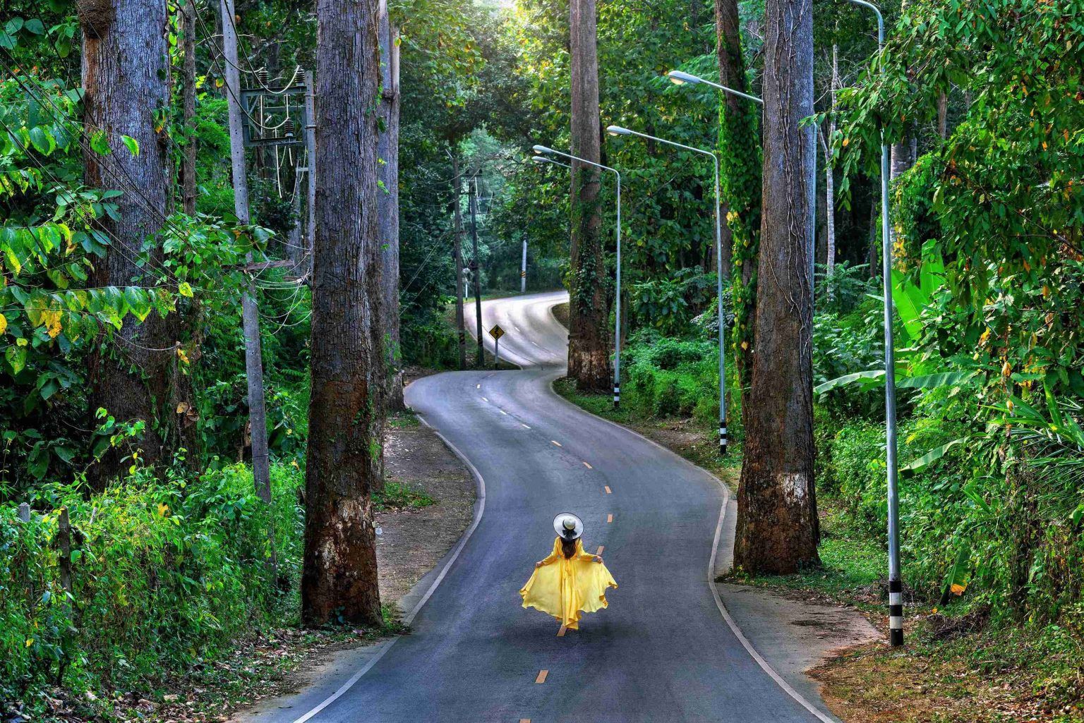 A person in a yellow dress walks on a winding road through a green forest.