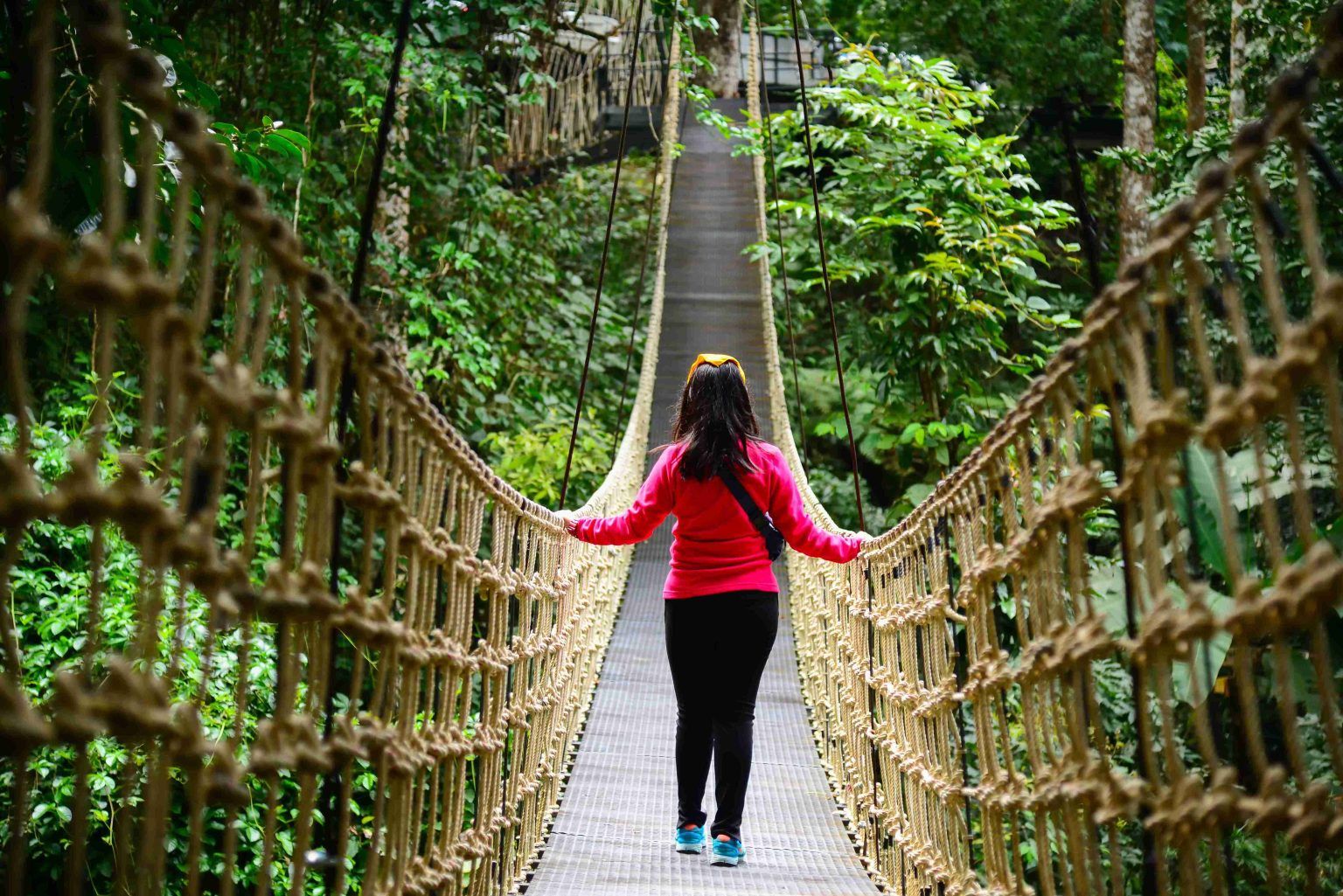Unlocking the Thrills of the Adimali Adventure Park: Your Gateway to Munnar