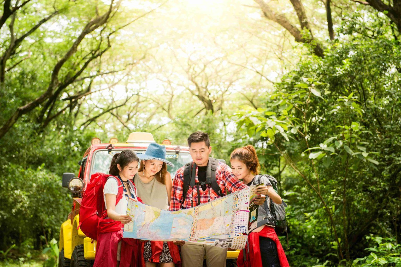 Unveiling the Best Places to Visit in Munnar: A Guide to Top Family Tourist Spots