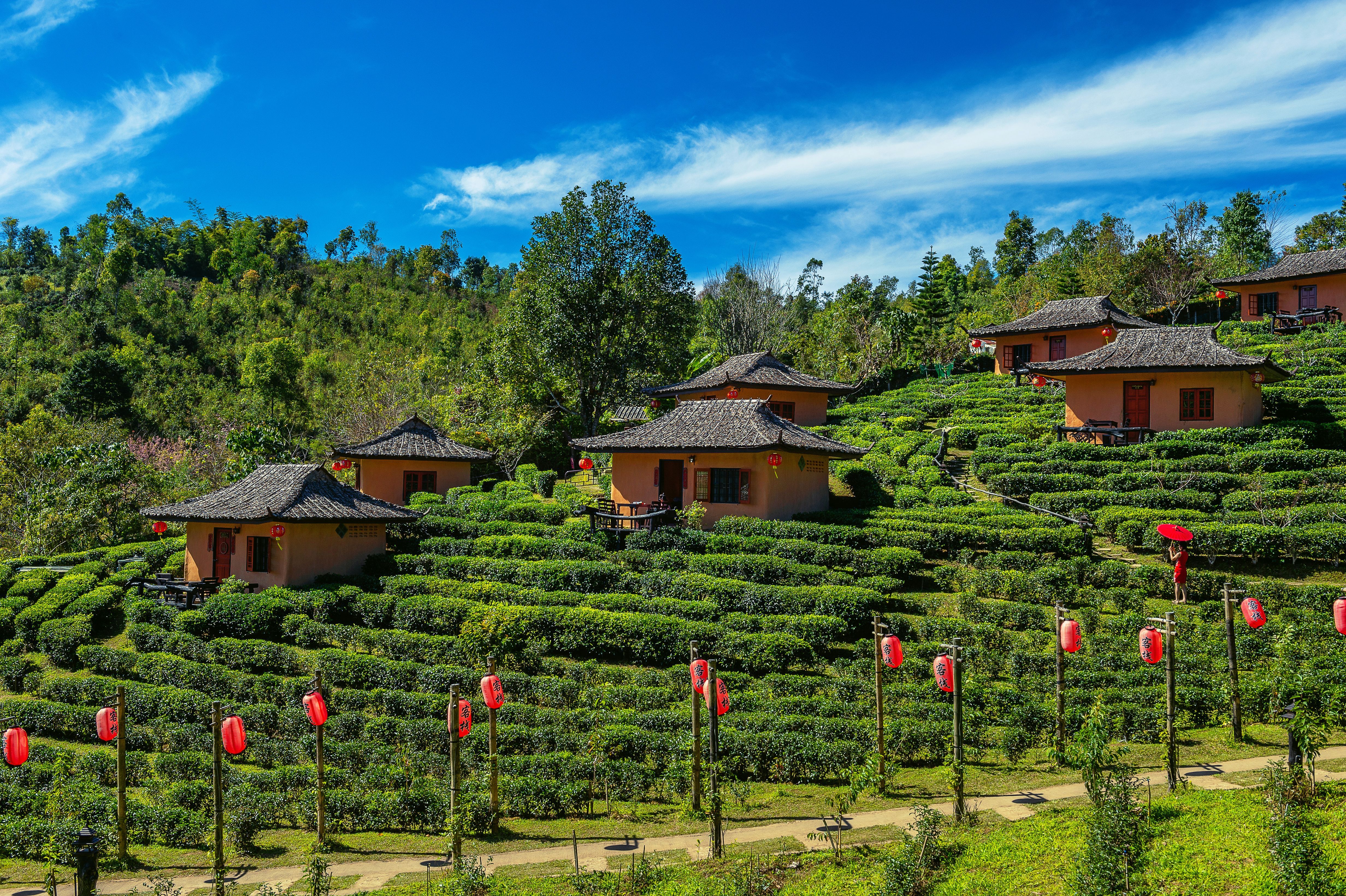 Best Places to Visit in Munnar: The Ultimate Sightseeing & Family Guide
