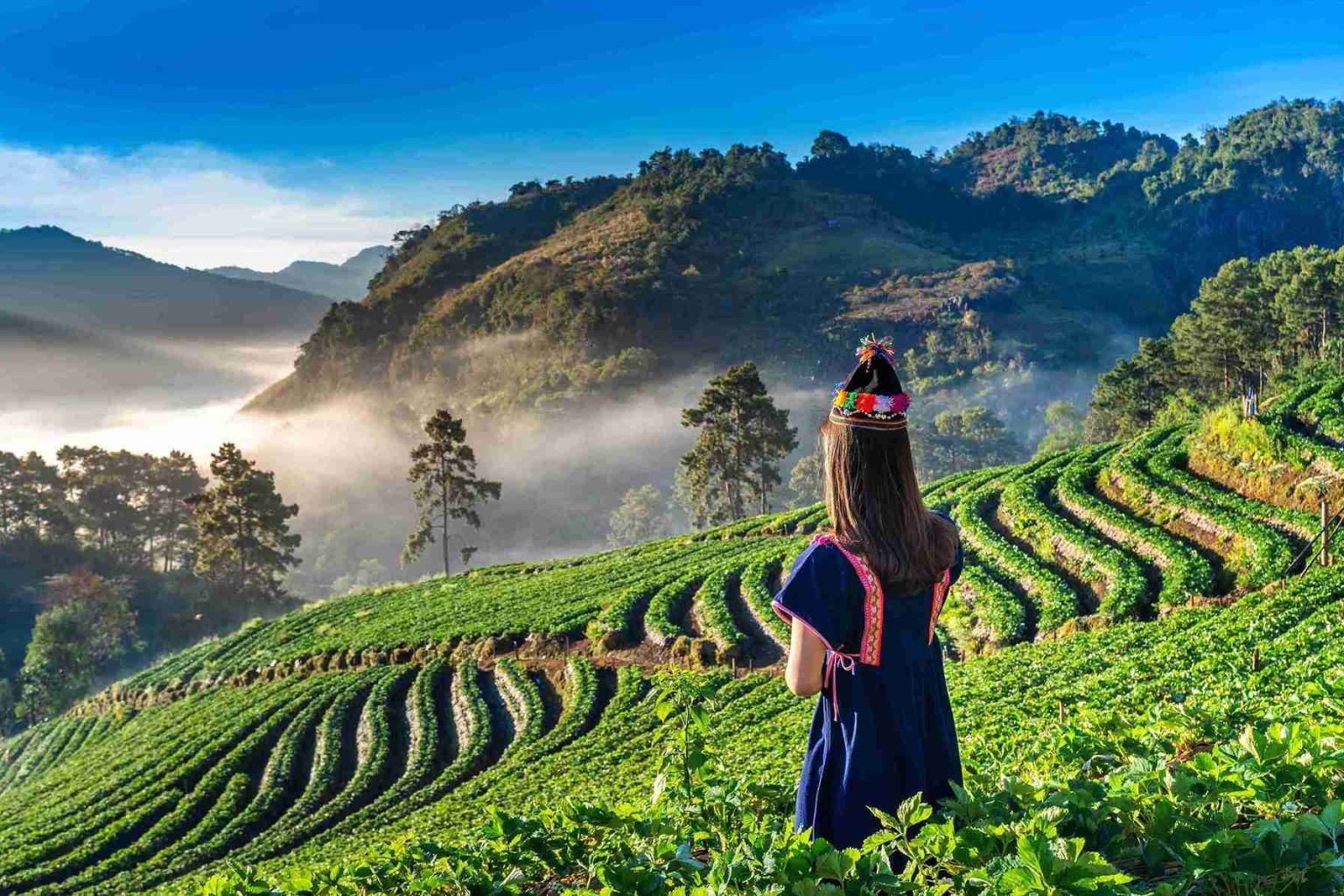 Woman in traditional dress admiring terraced green fields and misty mountains under a blue sky.