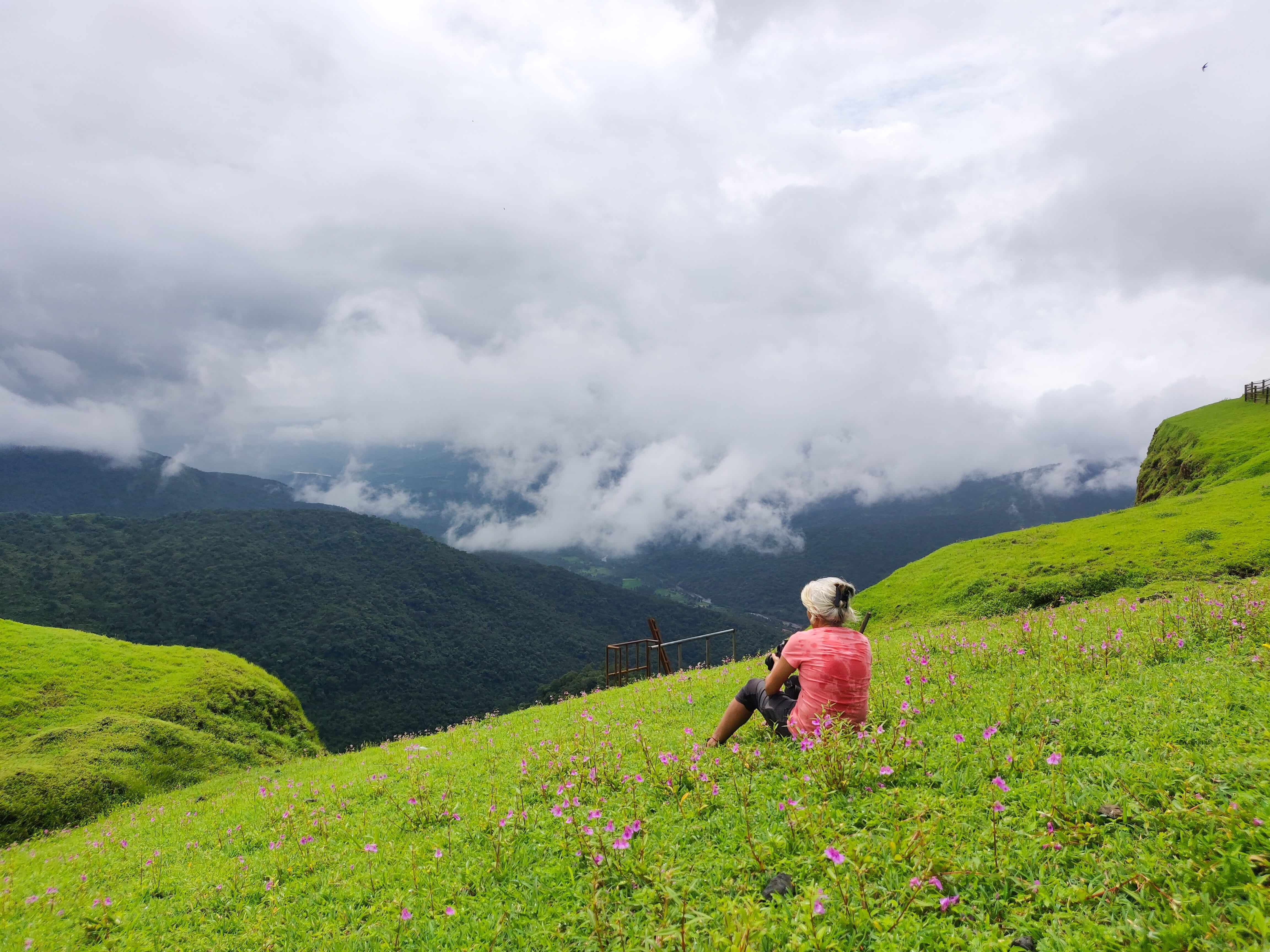 Best Places to Visit in Munnar: 7 Must-Visit Attractions